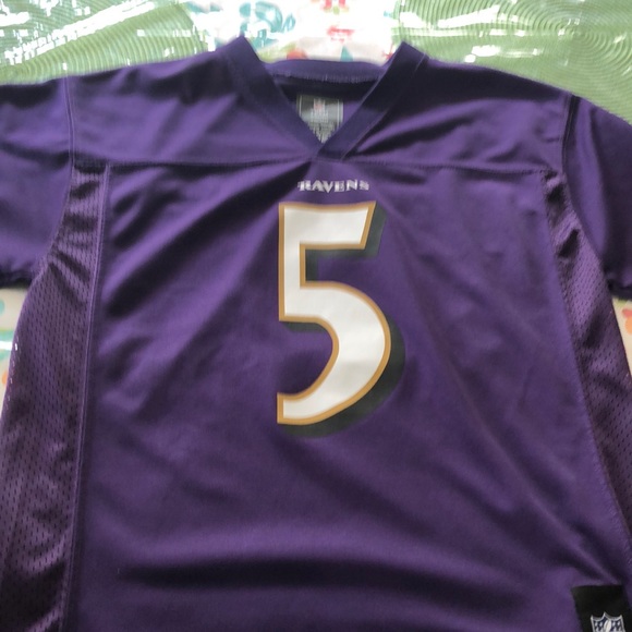 NFL Other - Purple Ravens Jeresy